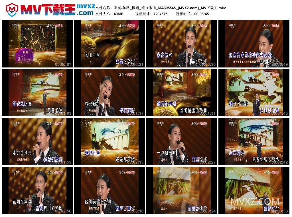 那英-丝路_国语_流行歌曲_MA308545